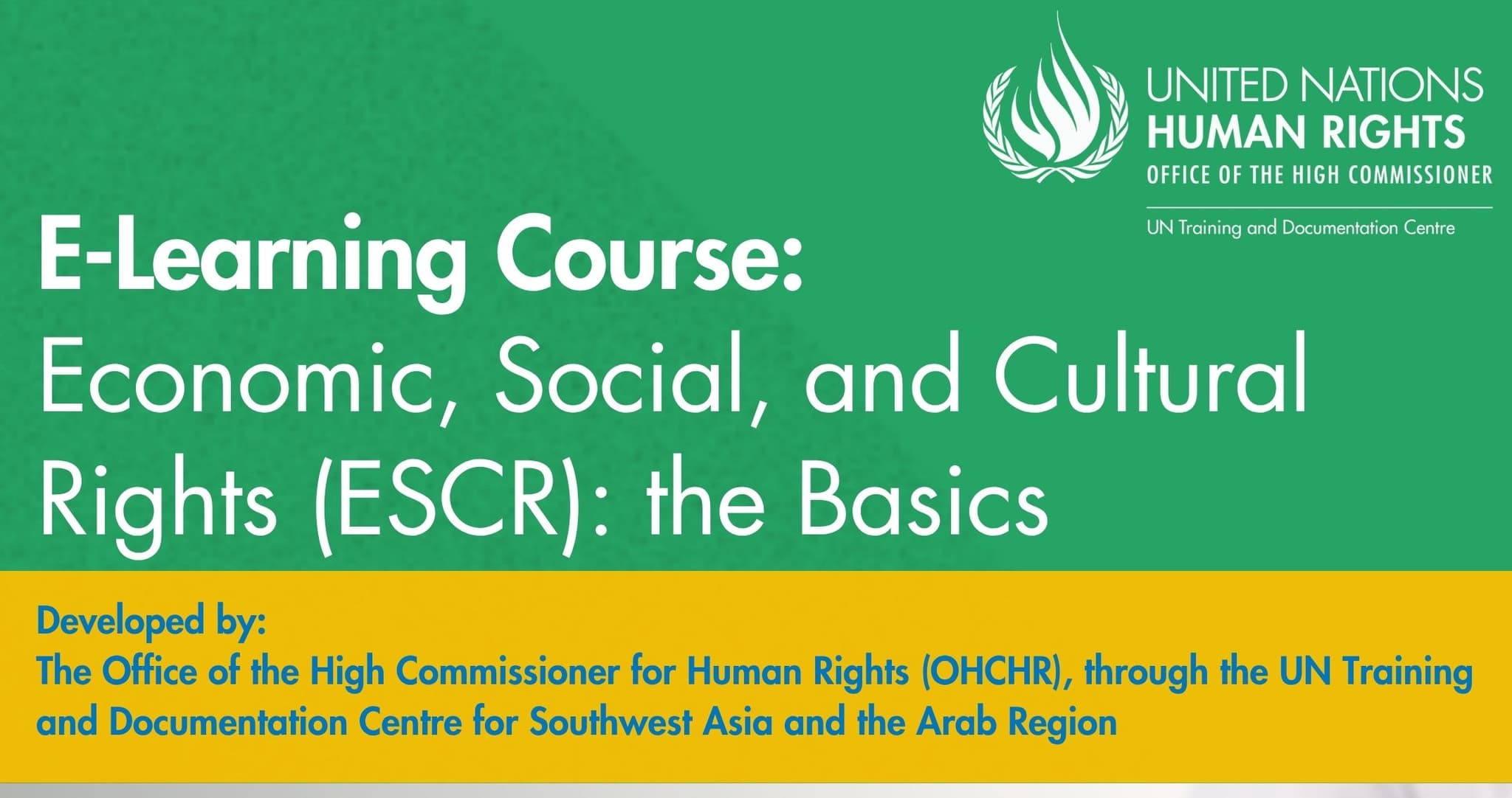Economic, Social and Cultural Rights (ESCR): the Basics